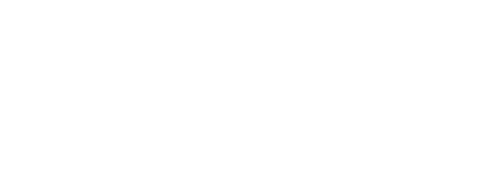 Camicissima