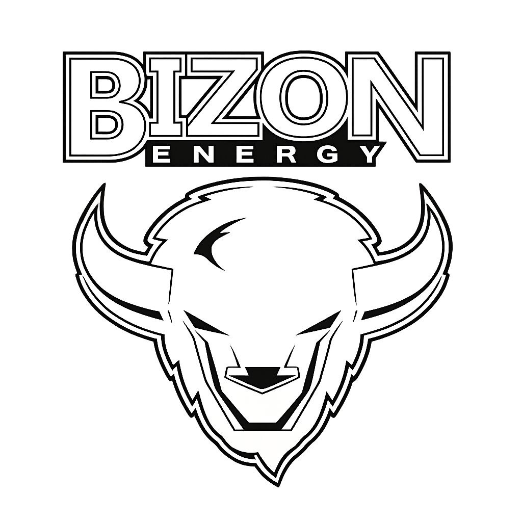 Bizon